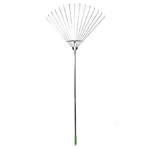 Generic scopa per foglie