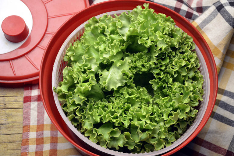 centrifuga per insalata