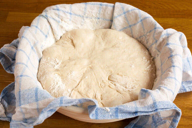 cestino per lievitazione pane