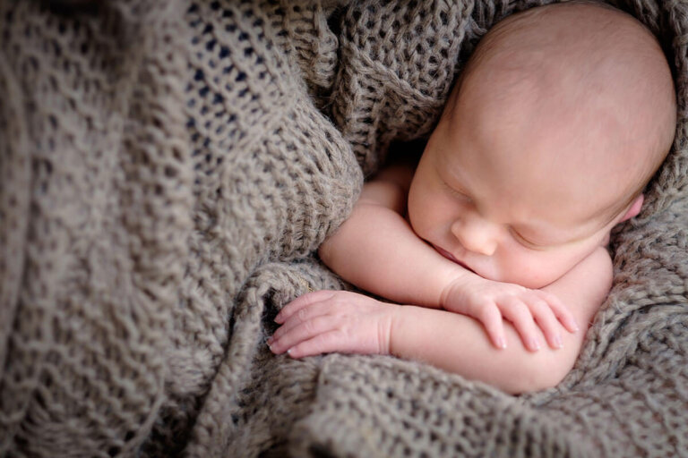 coperta di lana