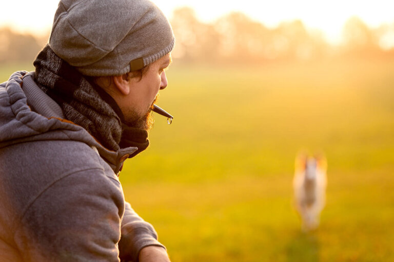 fischietto per cani