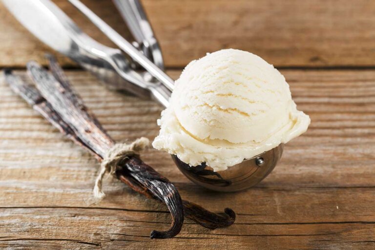 paletta per gelato
