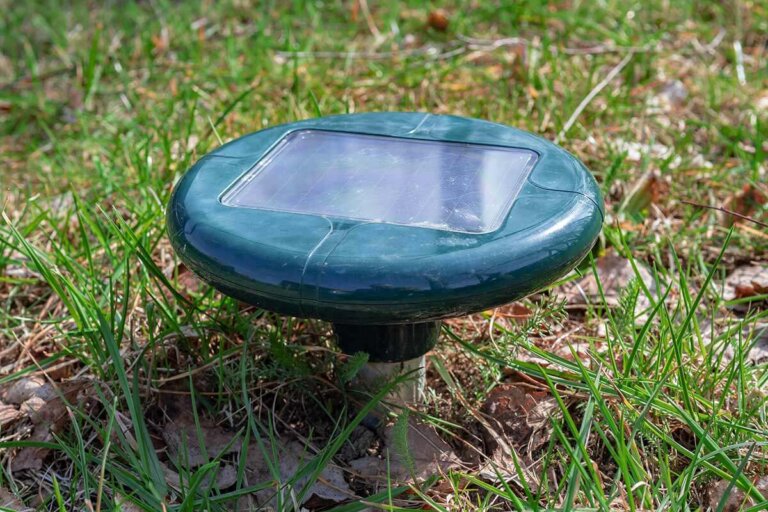 repellente per animali a ultrasuoni