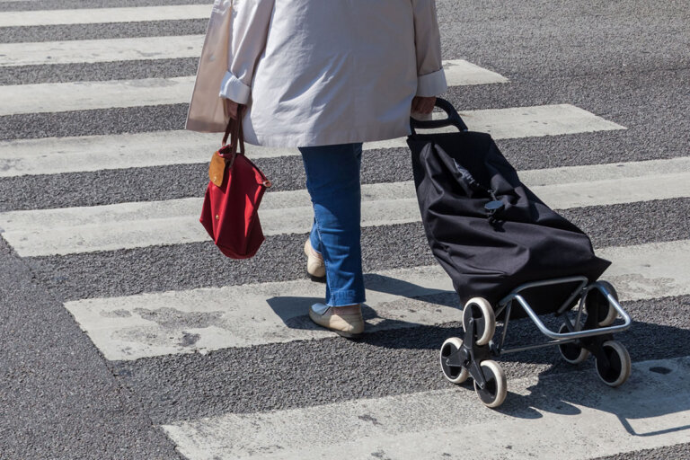 trolley per la spesa